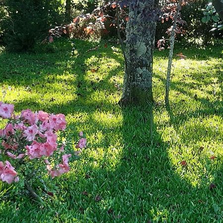 Quinta D'Avó Amélia Alquerubim Exterior foto