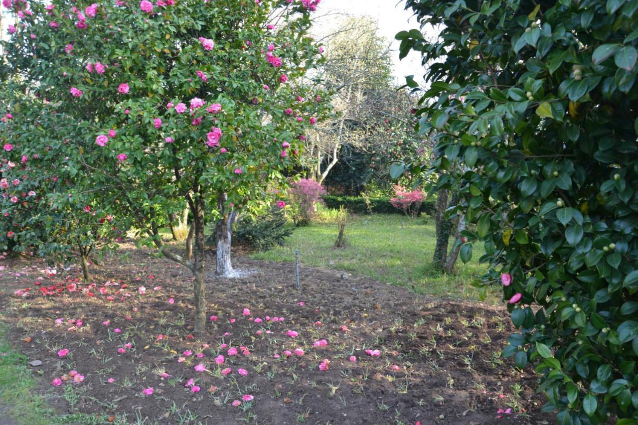 Quinta D'Avó Amélia Alquerubim Exterior foto