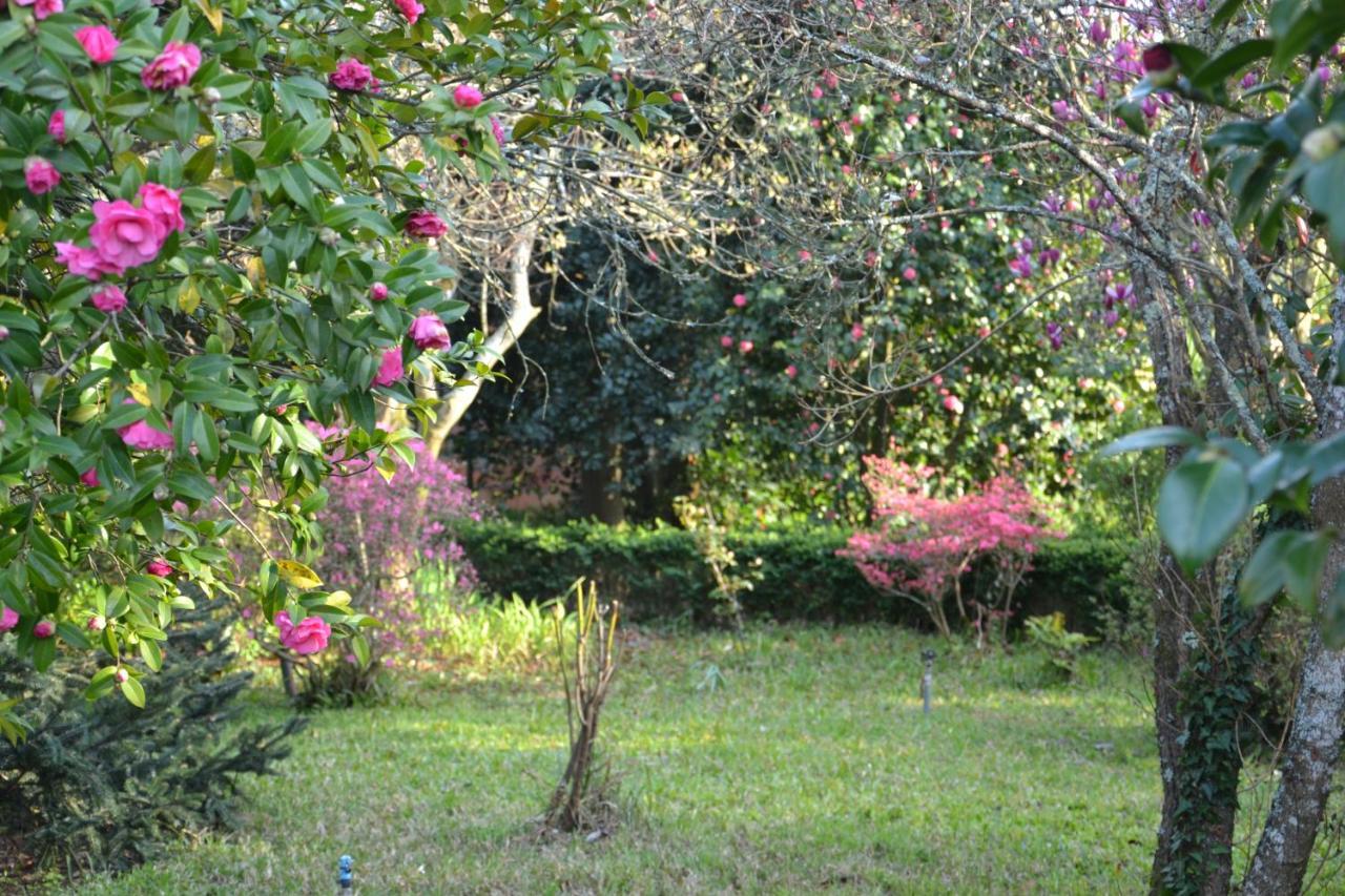 Quinta D'Avó Amélia Alquerubim Exterior foto