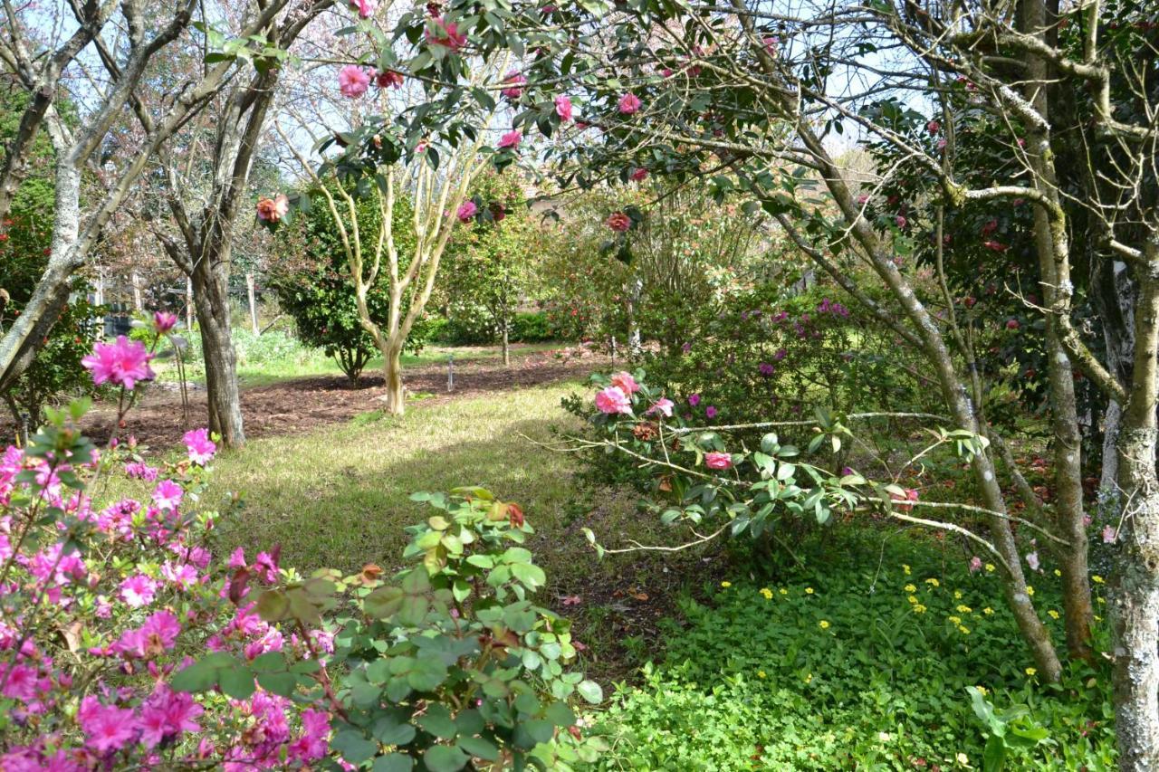 Quinta D'Avó Amélia Alquerubim Exterior foto