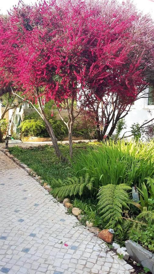 Quinta D'Avó Amélia Alquerubim Exterior foto