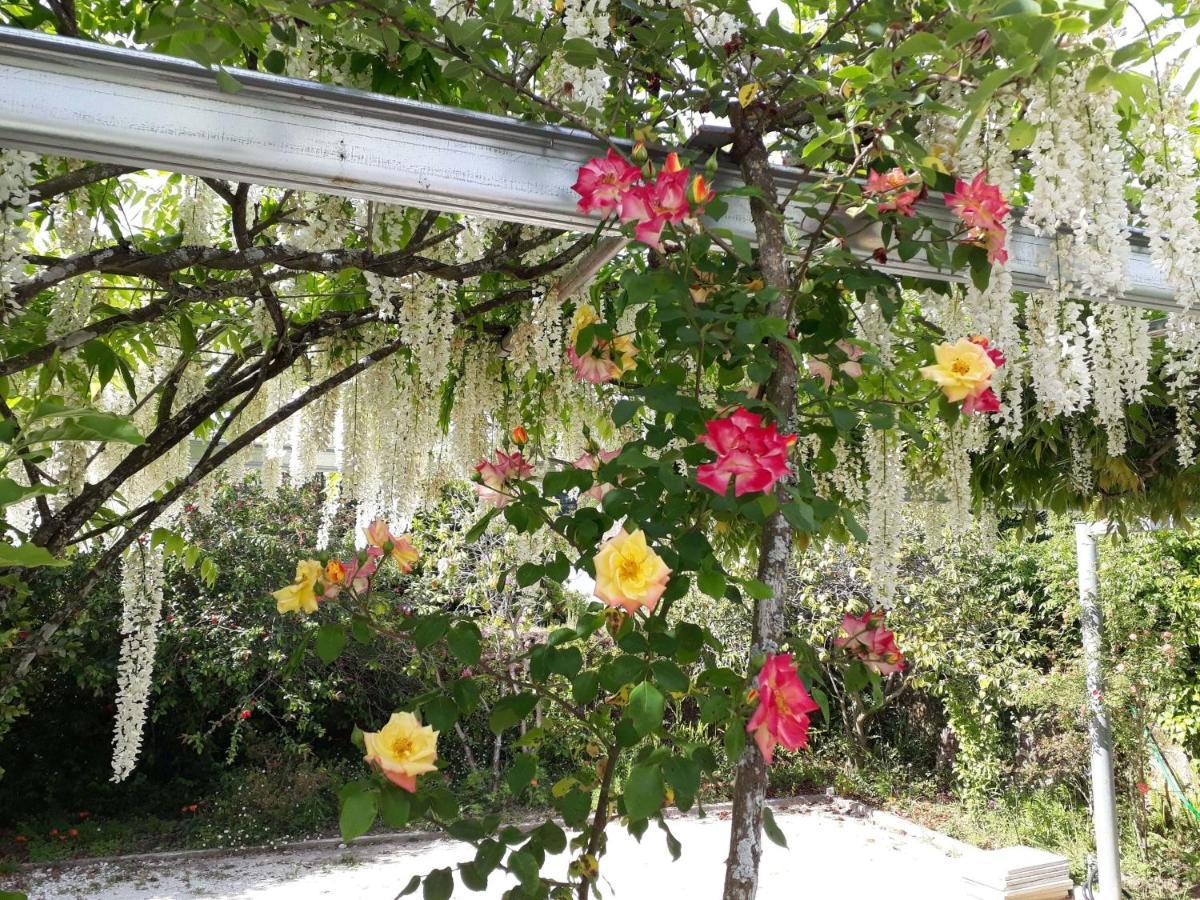 Quinta D'Avó Amélia Alquerubim Exterior foto
